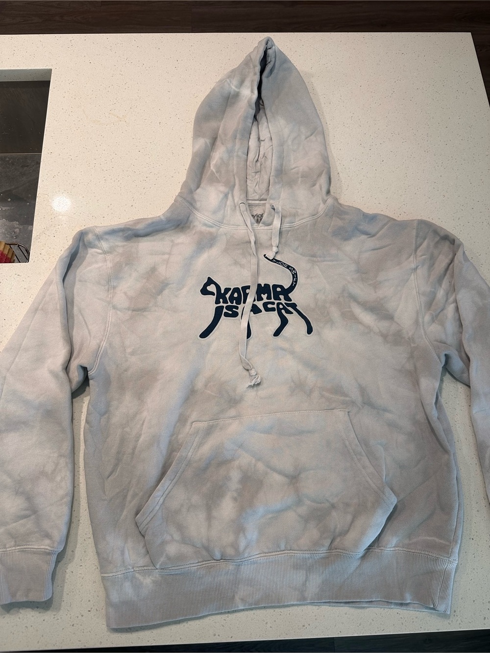Taylor swift ‘karma is a cat’ hoodie